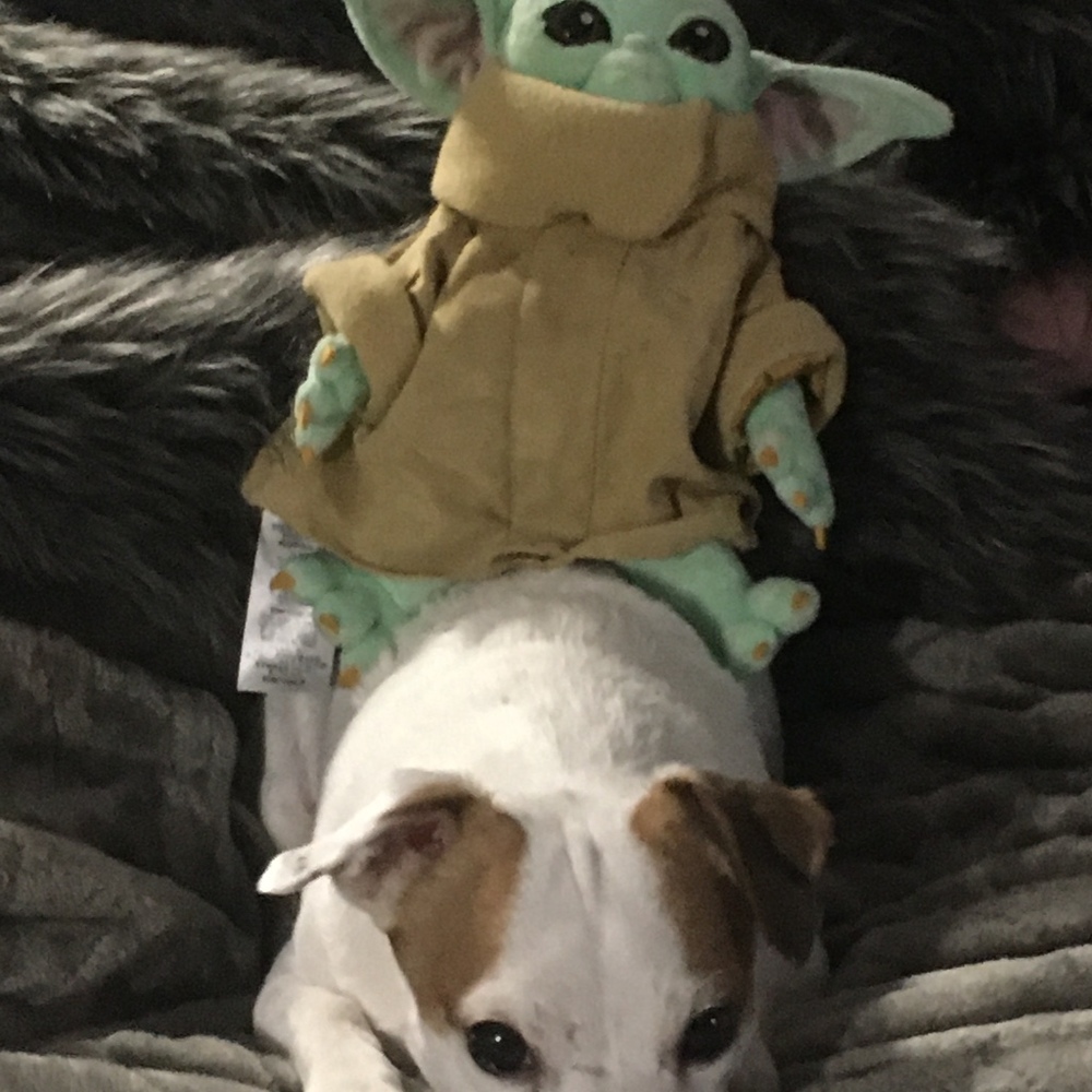 Meet your Posher, Rachael